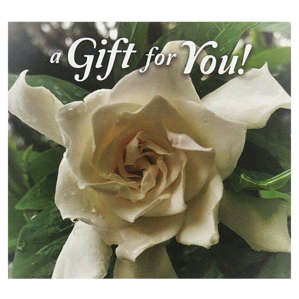Good s Store Gift Card in a White Gardenia Holder For Discount
